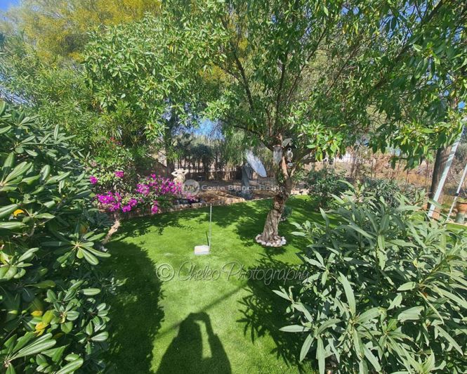 Image No.35-Maison de campagne de 3 chambres à vendre à Albatera