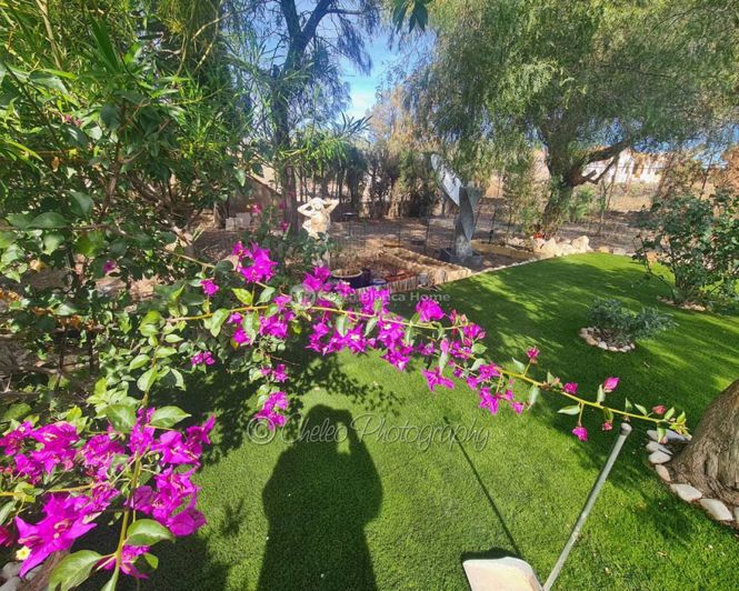 Image No.36-Maison de campagne de 3 chambres à vendre à Albatera