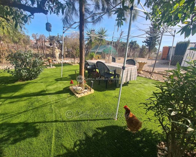 Image No.37-Maison de campagne de 3 chambres à vendre à Albatera