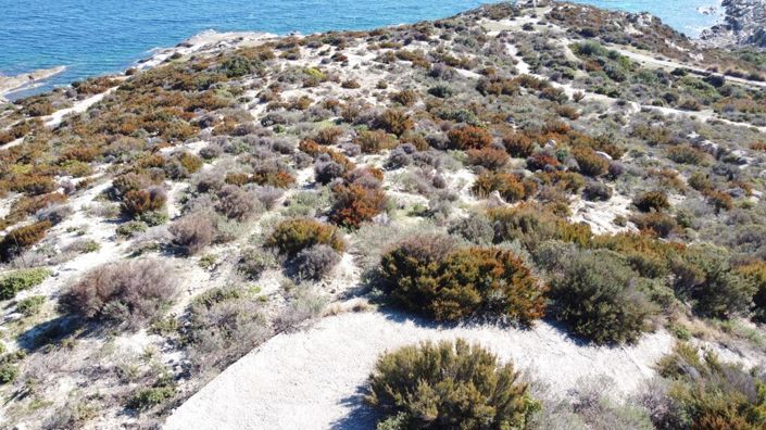 Image No.3-Terre à vendre à Halkidiki