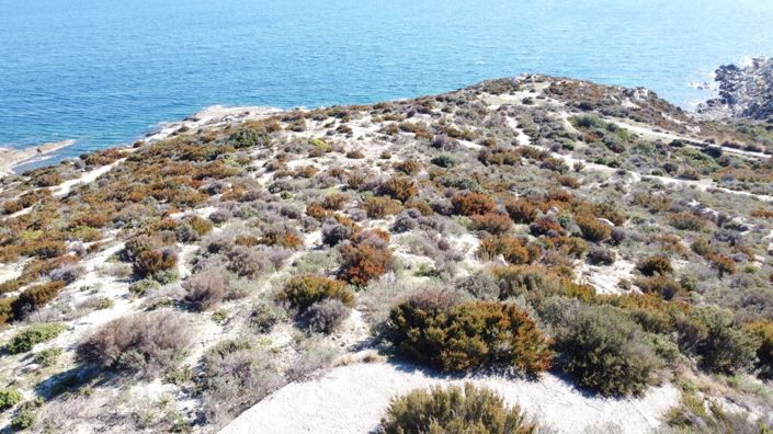 Image No.4-Terre à vendre à Halkidiki