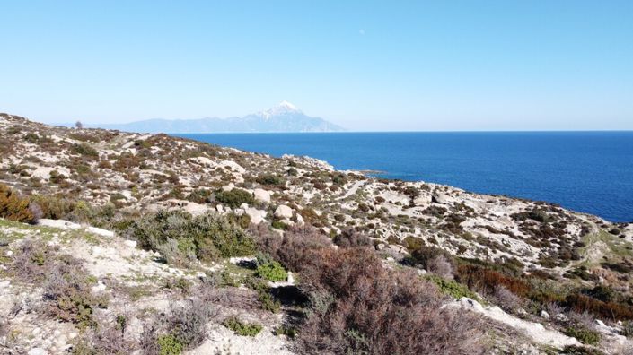 Image No.5-Terre à vendre à Halkidiki