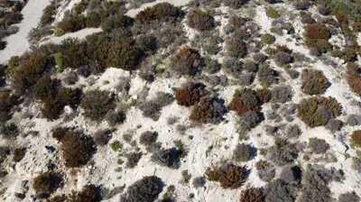 Photo 6 - Land 500 m² in Central Macedonia