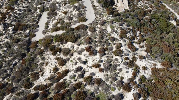 Image No.7-Terre à vendre à Halkidiki