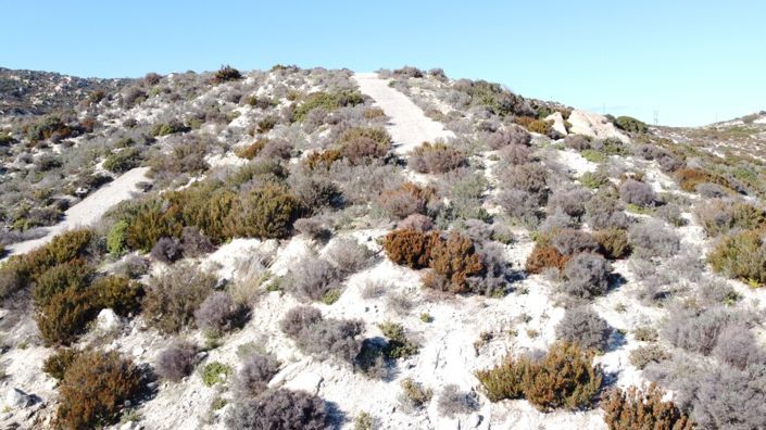 Image No.8-Terre à vendre à Halkidiki