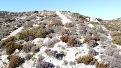 Photo 8 - Land 500 m² in Central Macedonia