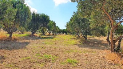 Photo 2 - Land 0 m² in Crete