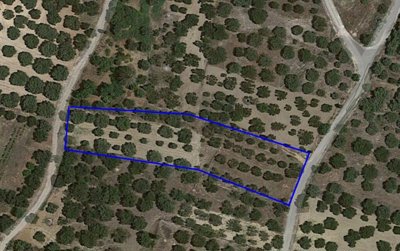 Photo 5 - Land 0 m² in Crete