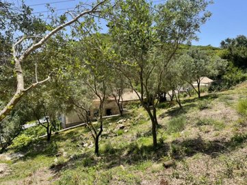 Photo 6 - Property 160 m² in Ionian islands