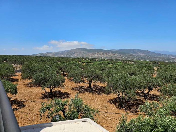 Image No.17-4 Bed Villa for sale