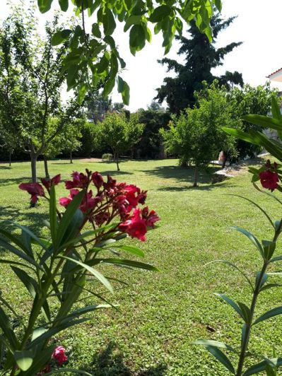 Image No.15-3 Bed Maisonette for sale