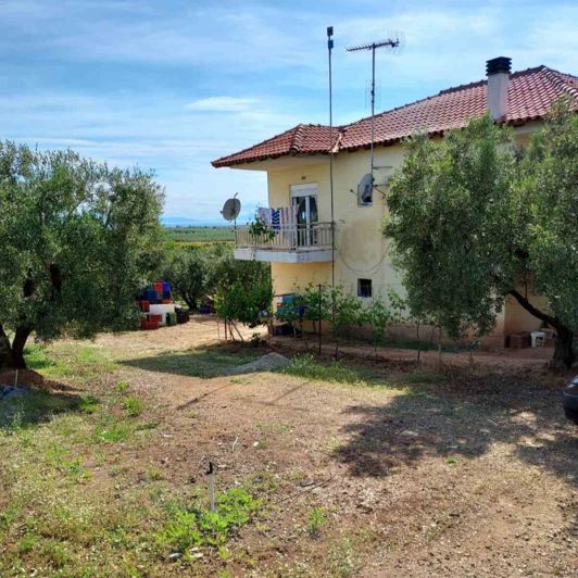 Image No.8-Propriété de 2 chambres à vendre à Halkidiki