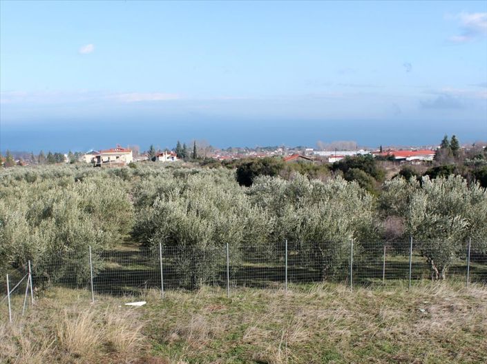 Image No.6-3 Bed Property for sale