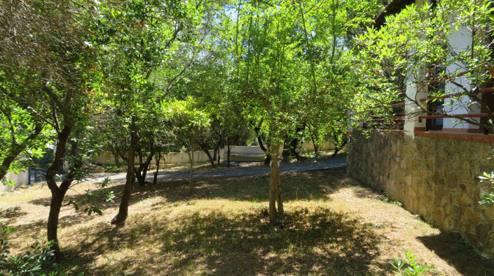 Image No.5-Propriété de 1 chambre à vendre à Halkidiki