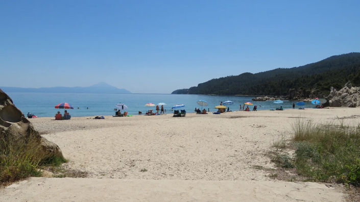 Image No.6-Propriété de 1 chambre à vendre à Halkidiki