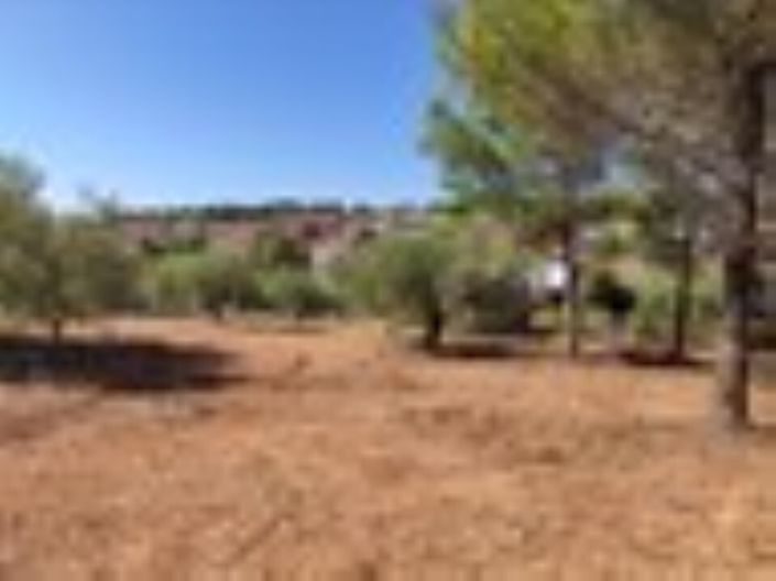 Image No.2-Terre à vendre à Halkidiki