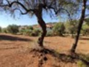 Photo 4 - Land 0 m² in Central Macedonia