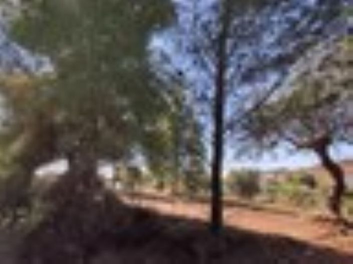 Image No.6-Terre à vendre à Halkidiki