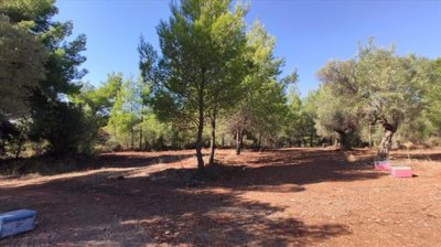 Photo 1 - Land 0 m² in Central Macedonia