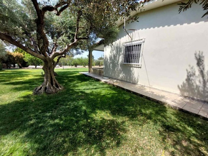 Image No.2-Terre à vendre à Halkidiki