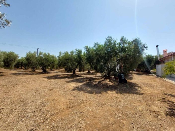 Image No.20-Terre à vendre à Halkidiki