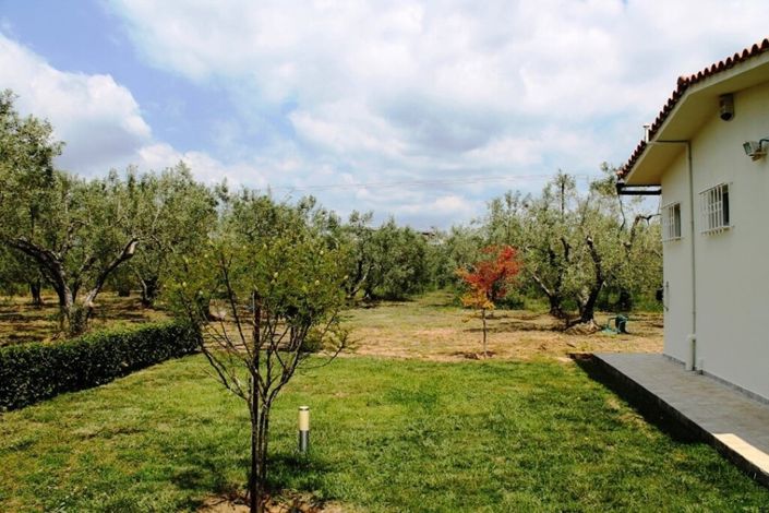 Image No.5-Terre à vendre à Halkidiki