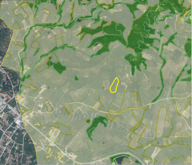 Image No.2-Terre à vendre à Halkidiki