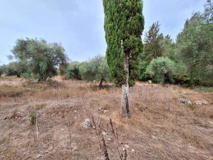 Image No.22-3 Bed Property for sale