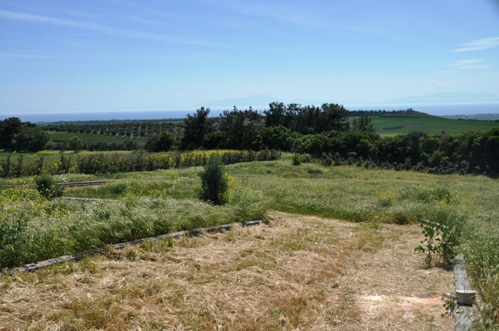 Image No.18-Propriété de 6 chambres à vendre à Halkidiki