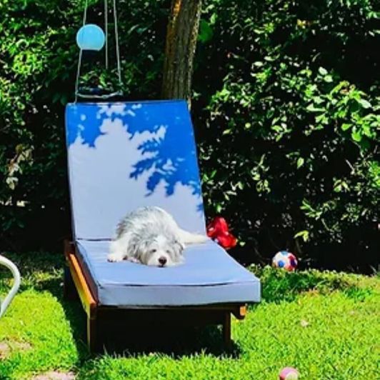 Image No.19-Propriété de 2 chambres à vendre à Halkidiki