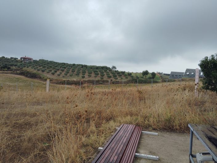 Image No.13-Terre à vendre à Kariani