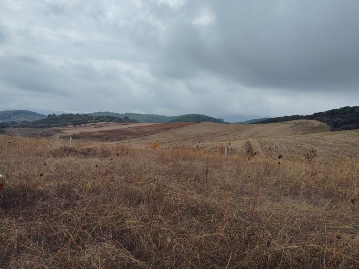 Image No.16-Terre à vendre à Kariani