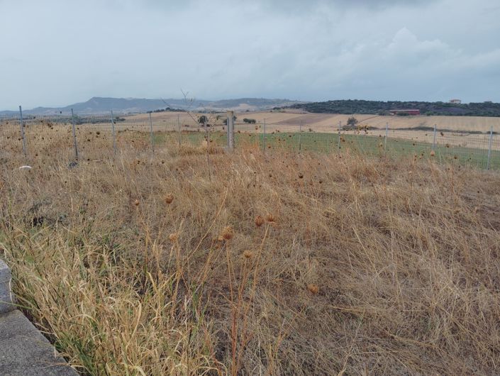 Image No.28-Terre à vendre à Kariani