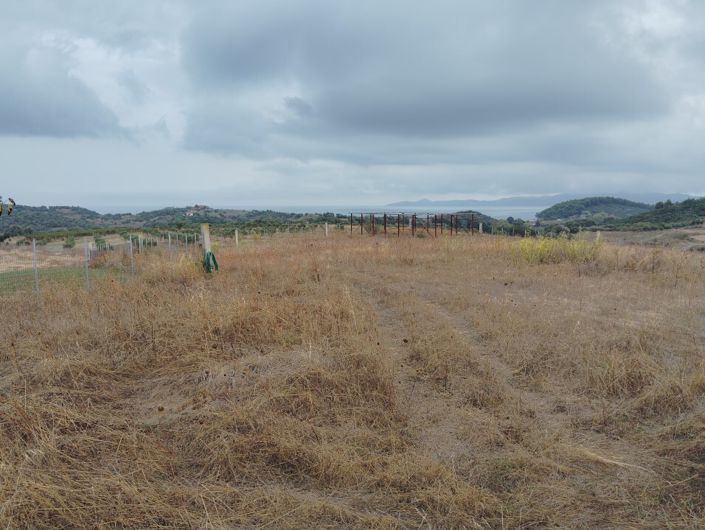 Image No.29-Terre à vendre à Kariani