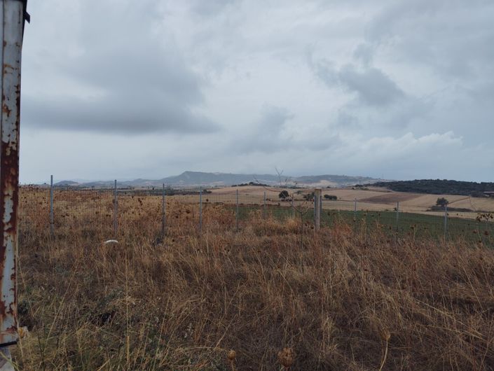 Image No.7-Terre à vendre à Kariani