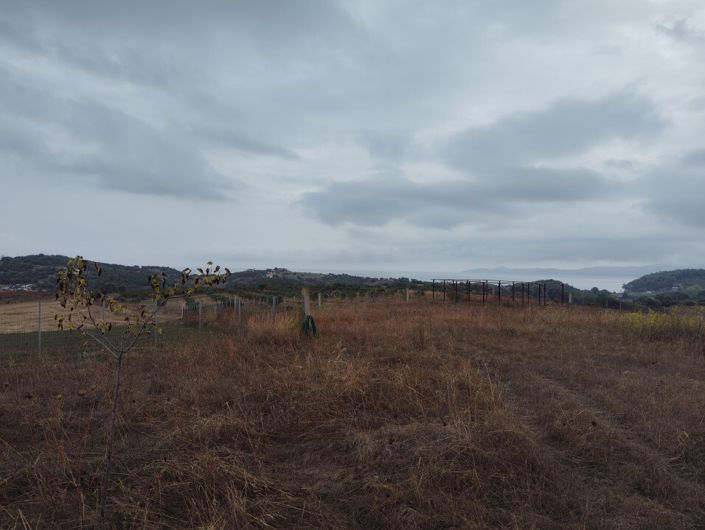 Image No.9-Terre à vendre à Kariani