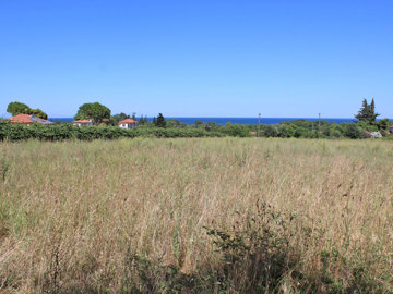 Photo 1 - Land 0 m² in Central Macedonia