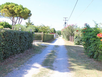 Photo 3 - Land 0 m² in Central Macedonia