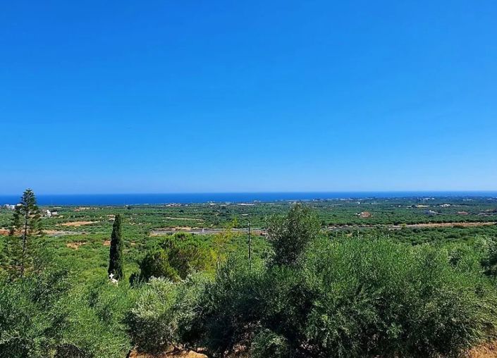 Image No.3-Terre à vendre à Agriana