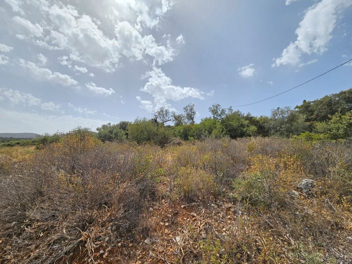 Image No.3-Land for sale