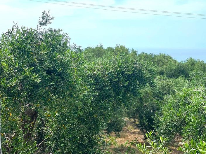 Image No.27-Maisonette de 2 chambres à vendre à Acharavi