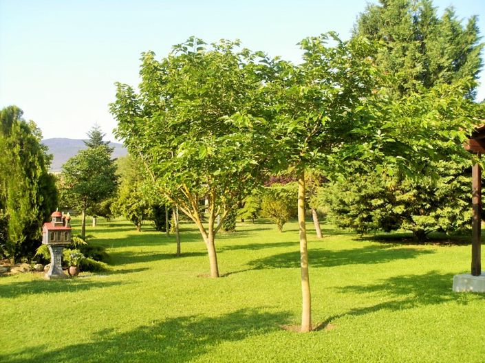 Image No.24-Propriété de 3 chambres à vendre à Halkidiki