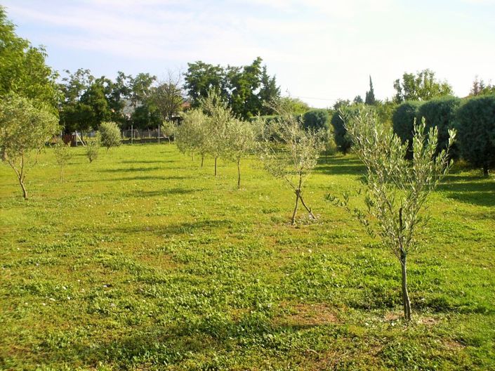 Image No.28-Propriété de 3 chambres à vendre à Halkidiki