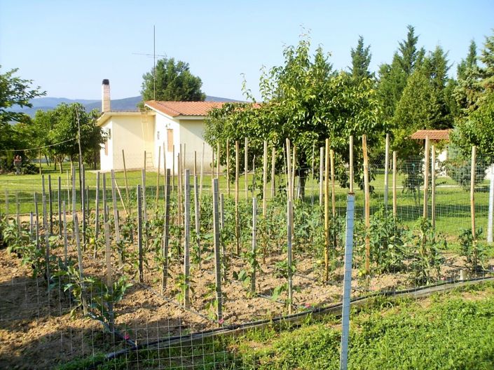 Image No.29-Propriété de 3 chambres à vendre à Halkidiki