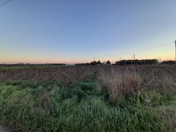 Photo 2 - Land 0 m² in Central Macedonia