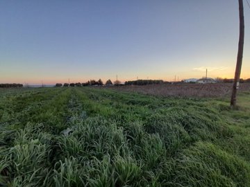 Photo 3 - Land 0 m² in Central Macedonia