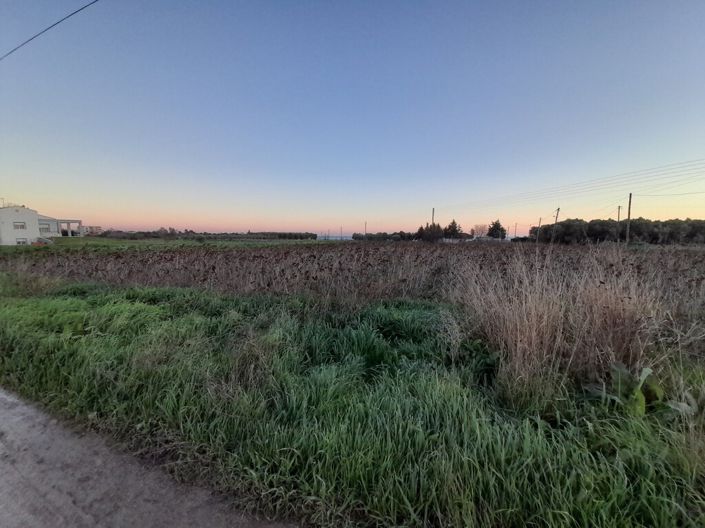 Image No.4-Terre à vendre à Thessalonique