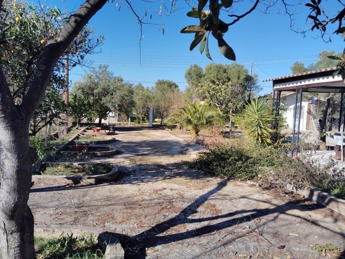 Image No.11-Propriété de 1 chambre à vendre à Halkidiki