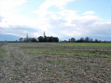 Photo 1 - Land 0 m² in Central Macedonia