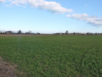 Photo 1 - Land 0 m² in Central Macedonia